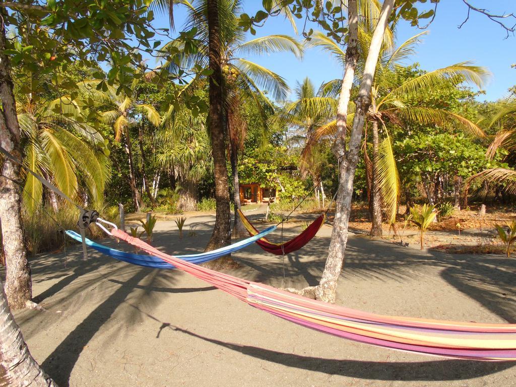 Punta Preciosa Bed and Breakfast Puerto Jiménez Exterior foto